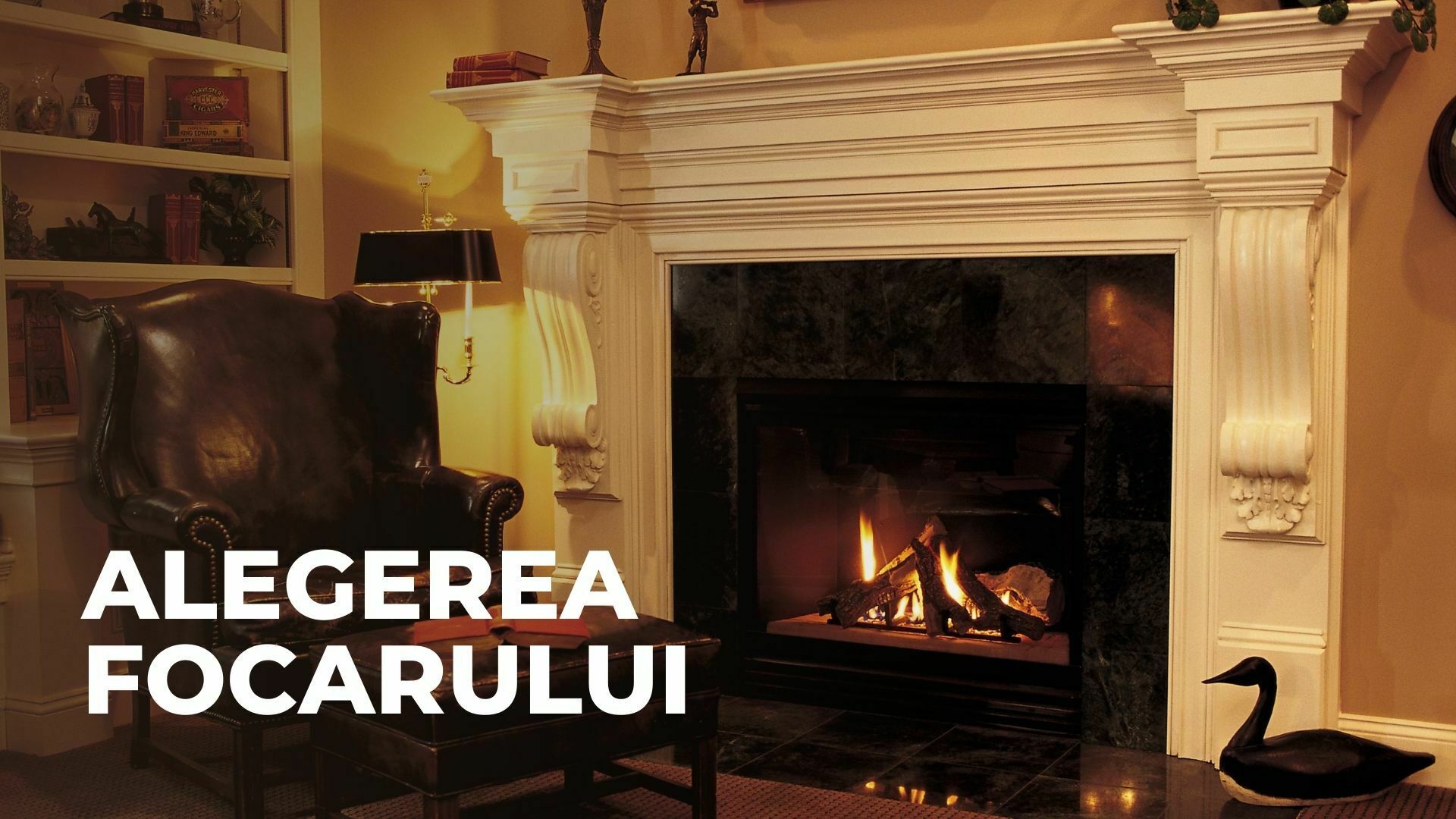 Imagine cu textul alegerea focarului