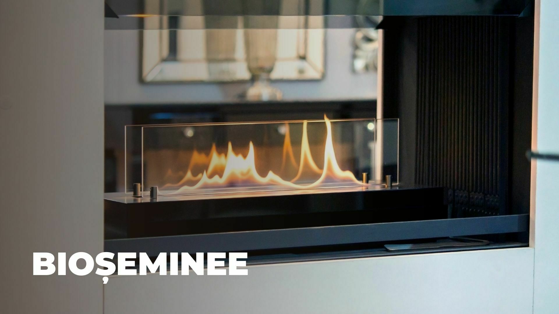 Imagine cu un bioșemineu