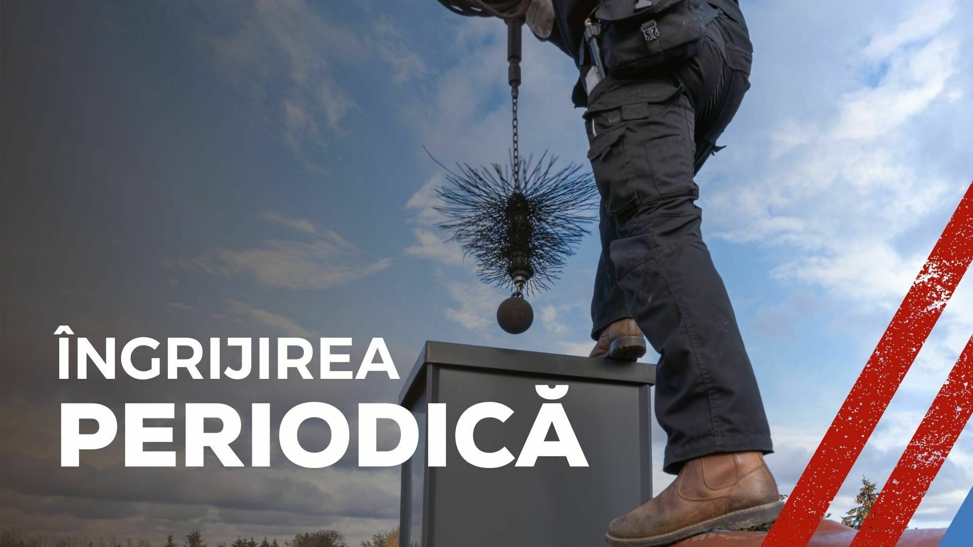 iMAGINE CU UN COȘAR ȘI TEXTUL ÎNGRIJIREA PERIODICĂ