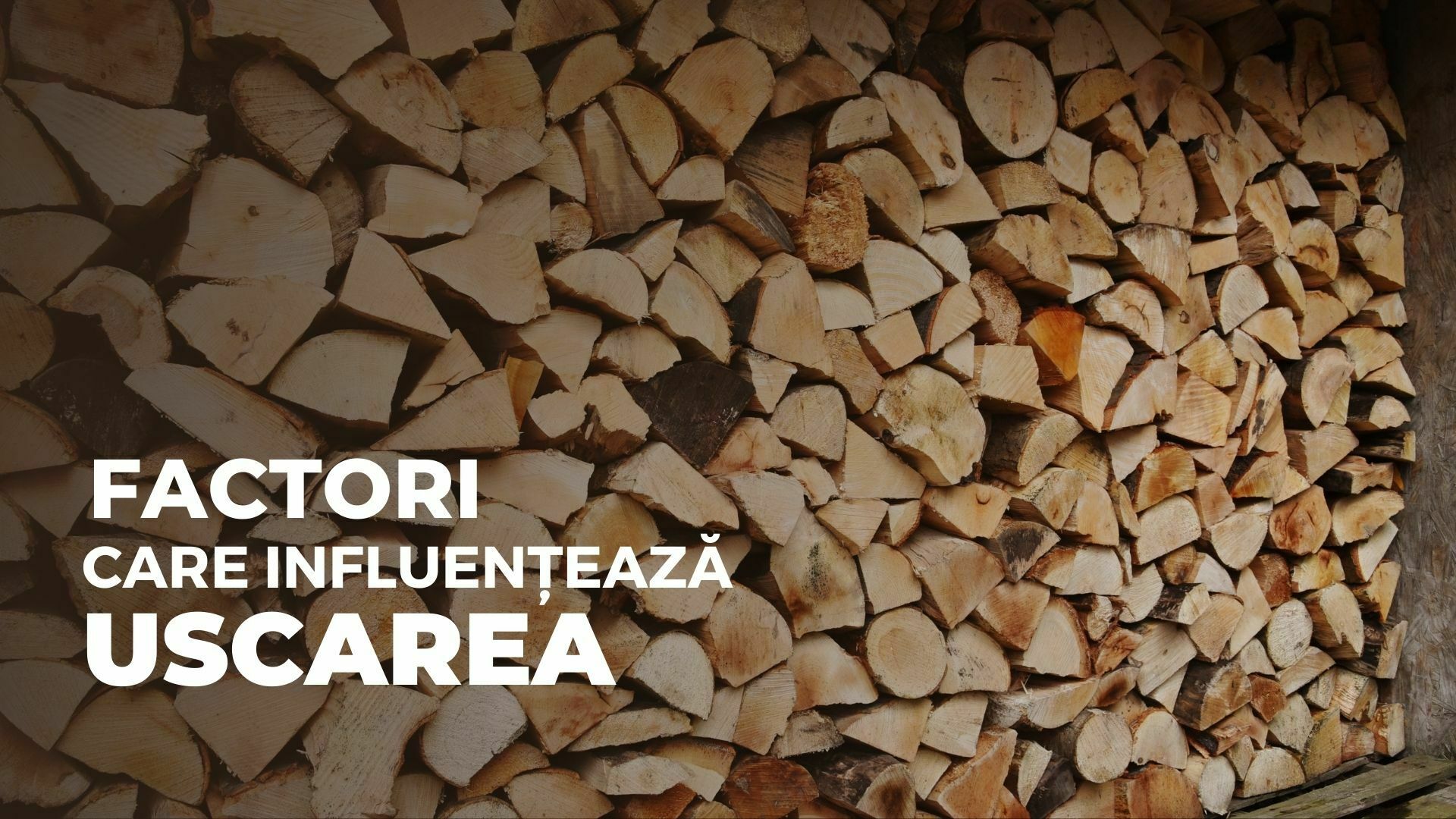 Factori care influențează uscarea