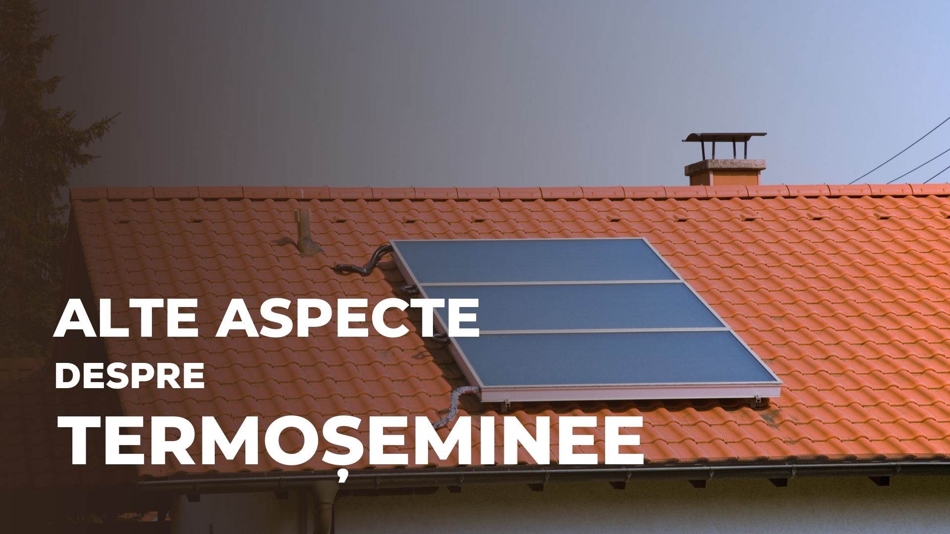 Alte aspecte despre termoșeminee