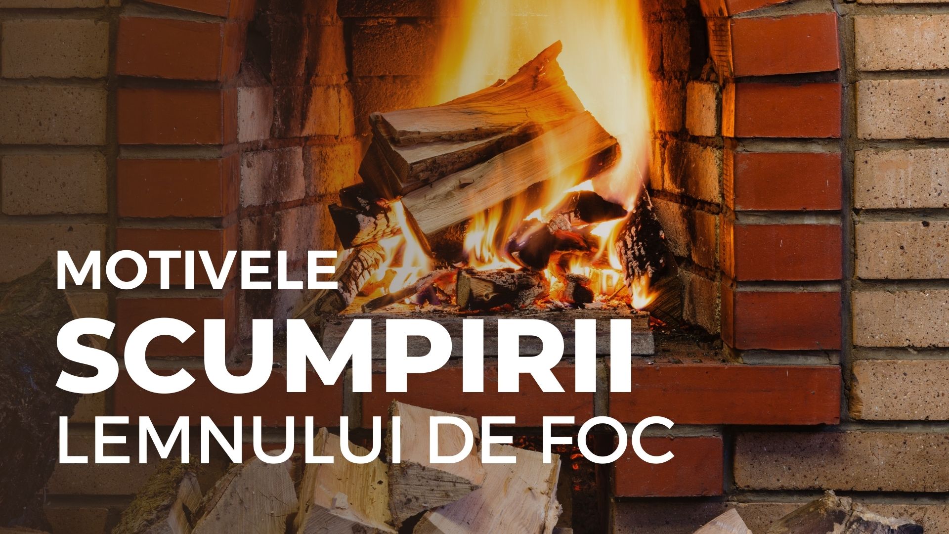 MOTIVELE SCUMPIRII LEMNULUI DE FOC