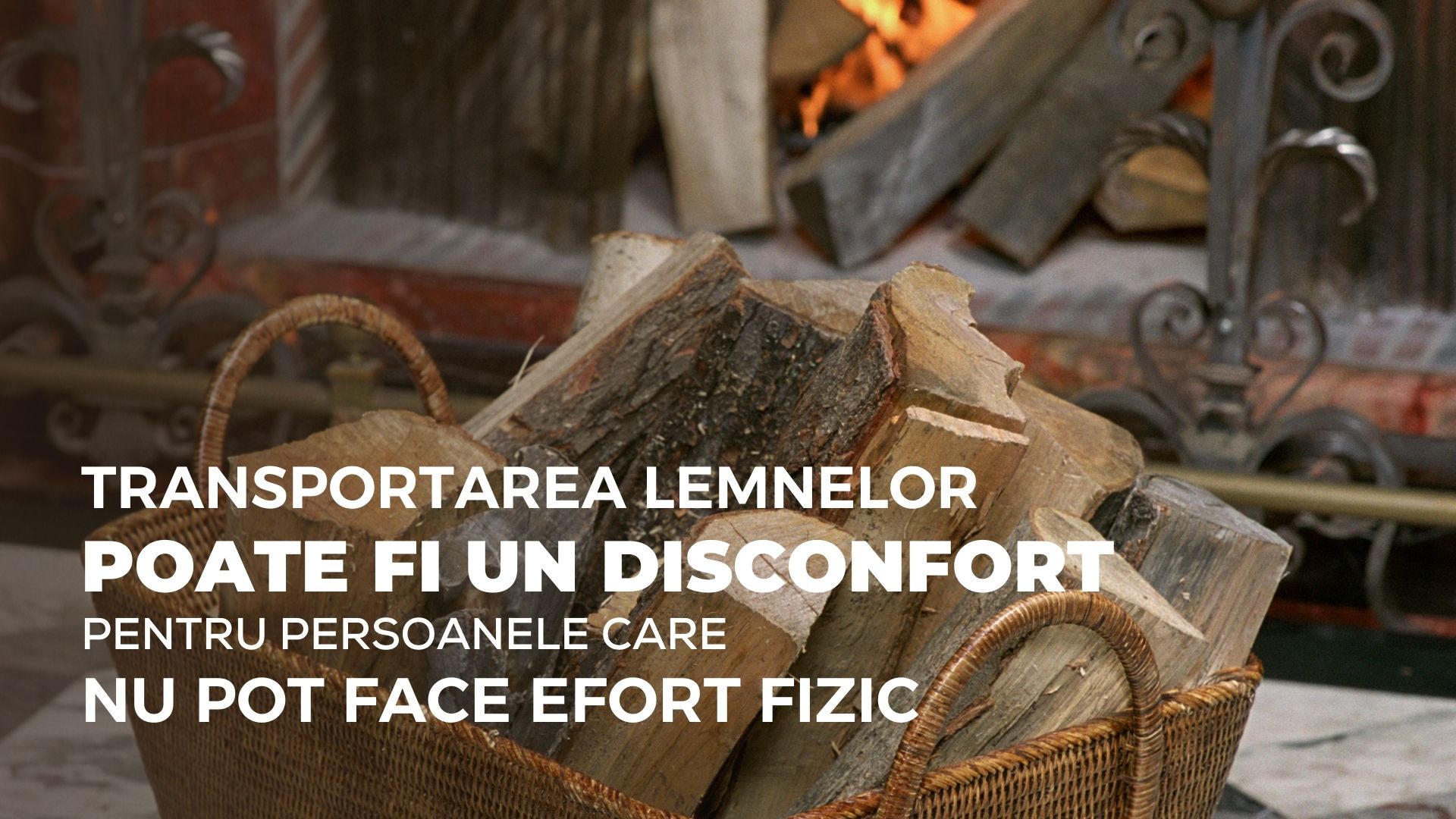 transportarea lemnelor