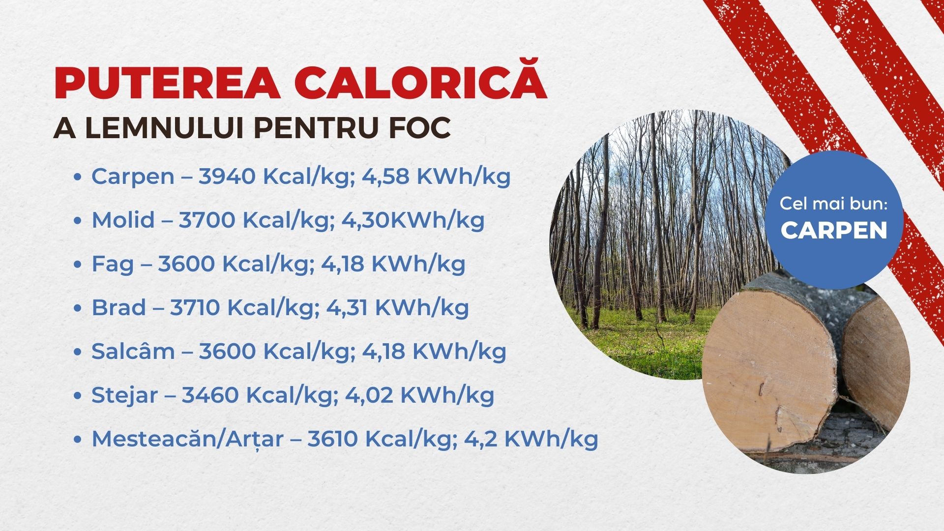 puterea calorica a lemnului
