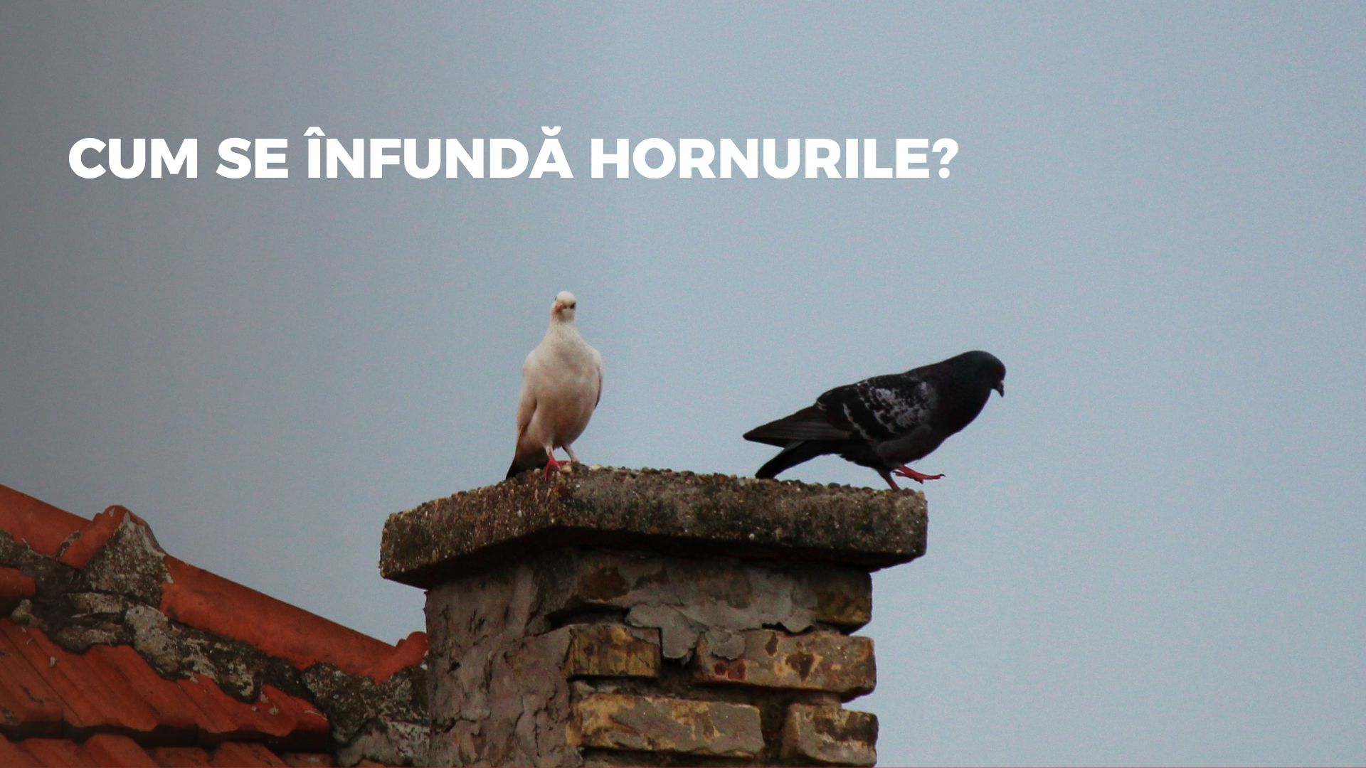Cum se înfundă hornurile?